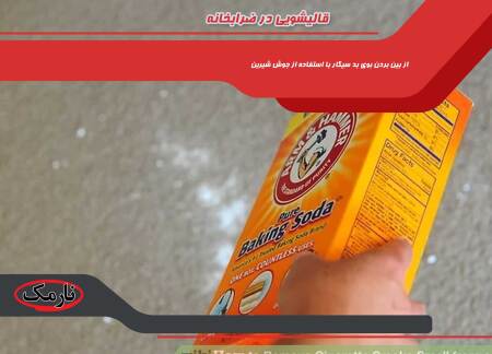 قالیشویی در ضرابخانه – چطور بوی بد سیگار از فرش و موکت را از بین ببریم؟